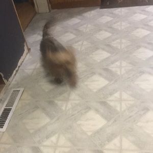 Meet your Posher, Marie